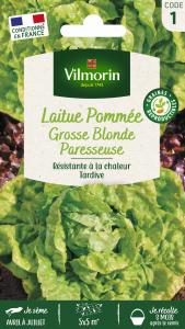Laitue Pommée Grosse Blonde Paresseuse